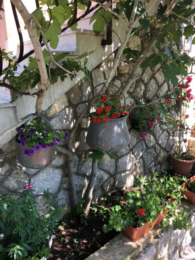 Apartments Ida Cres Dış mekan fotoğraf