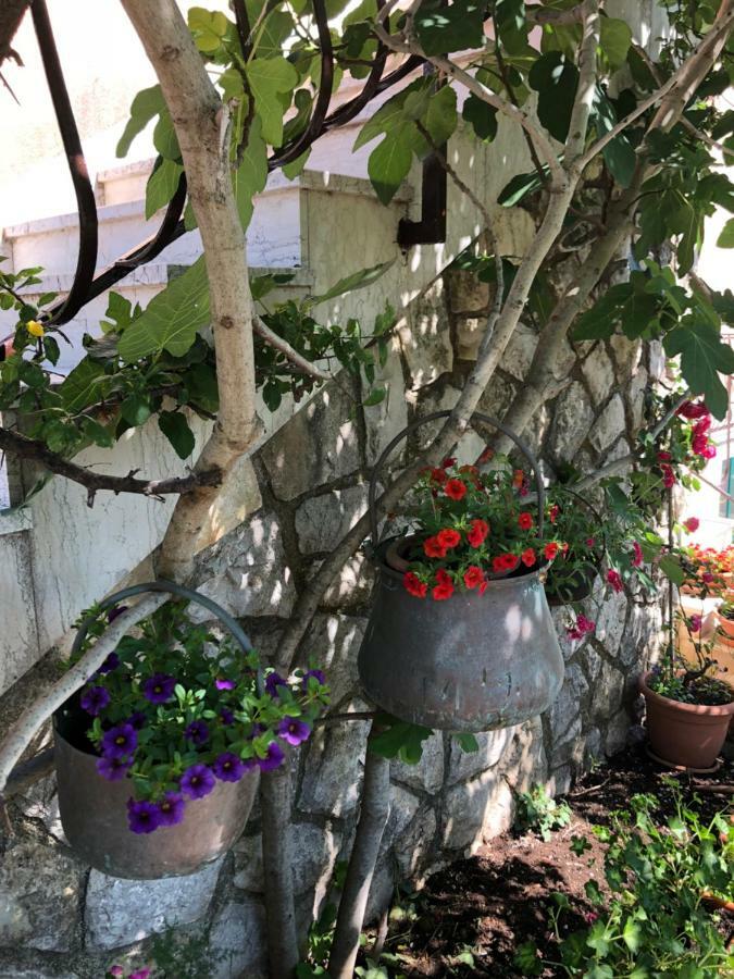 Apartments Ida Cres Dış mekan fotoğraf